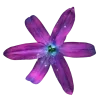 ♾