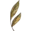 🌿