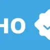 ✅