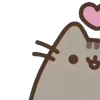 ⭐