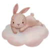 🐰