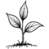 🌱