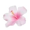 ♾