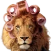 🦁