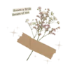 🌾