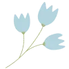 🌷
