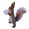 🐿