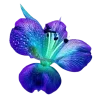 ♾