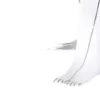 🤍