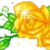 🌼