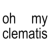 🪽