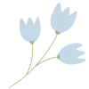 🌷