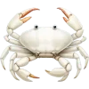 🦀