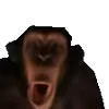 🐵