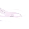 🤍