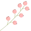 🌷