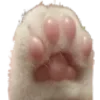 🐾