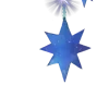 ✨
