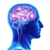 🧠