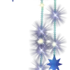 ✨