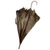 🌂
