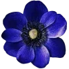♾