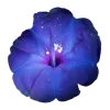 ♾