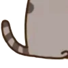 ⭐