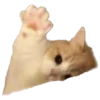 🐈