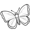 🦋