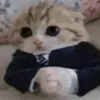 🎩