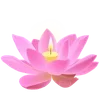 🪷