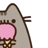 ⭐