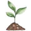 🌱