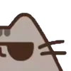 ⭐