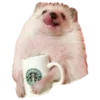 🦔