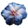 ♾