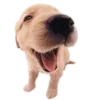 😛