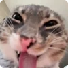 😛