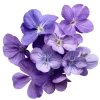 ♾