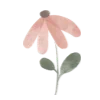 🌹