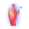 🤚