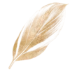 🪶