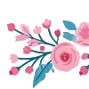 🌺
