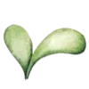 🌱