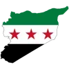 🇸🇾