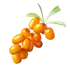 🍇