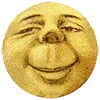 🌚