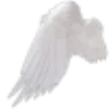 🕊
