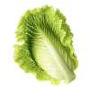 🥬